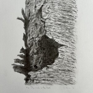 Peut inclure: Dessin au crayon détaillé d'une écorce d'arbre, avec une section sombre et creuse. L'œuvre, intitulée "The Dark in the Bark", présente des textures et des ombres complexes. La signature et la date de l'artiste sont visibles en bas.