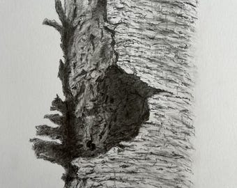 A Escuridão na Casca. Desenho original a lápis em papel Bristol A4 de 260g.