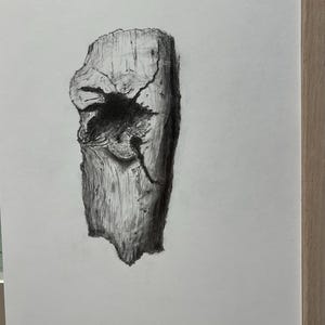 Puede incluir: Dibujo a carboncillo de un tocón de árbol desgastado. La obra representa la textura rugosa de la madera, con grietas visibles y un gran agujero oscuro. El sombreado crea profundidad y resalta la forma natural de la madera.