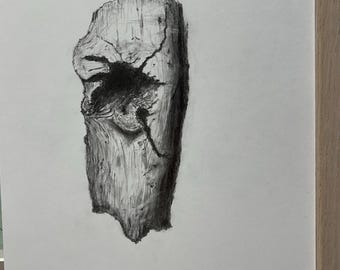 Hollow Core. Disegno originale a matita di grafite su carta Bristol A4. Studio di un albero. Unico originale firmato e autenticato, NON è una stampa.