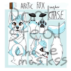 Puede incluir: Una hoja de referencia de personaje digital para un zorro ártico llamado Chase. La ilustración muestra una cabeza de zorro blanca y azul claro desde vistas frontal y lateral, almohadillas de patas y una cola. Texto: Arctic Fox, she/her, Chase.