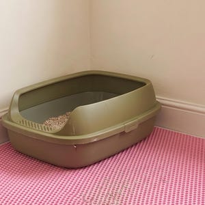 May include: An olive green plastic cat litter box with a low-entry front and a high-walled design, placed on a rectangular pink mat featuring a white grid pattern. The litter box contains a small amount of light-colored granular cat litter.