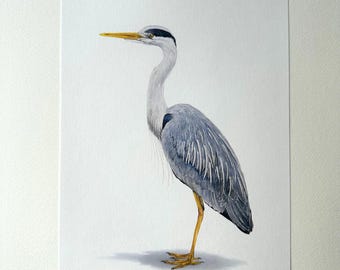 Grey Heron watercolor — fine art reproduction | Linett Ridge