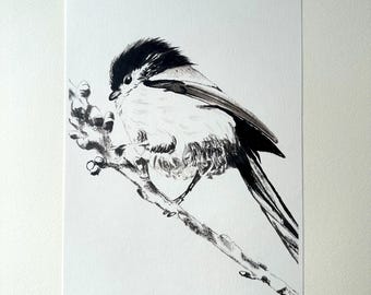 Intense black Orite in India ink and watercolor — fine art reproduction | Linett Ridge