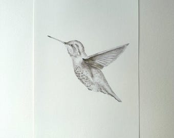 Sepia Hummingbird | Watercolor Bird Poster | Fine Art Reproduction