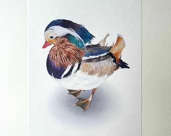 Mandarin duck watercolor — fine art reproduction | Linett Ridge