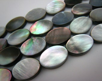 black lip shell flat oval 14x10mm 15 inch strand