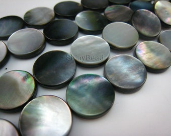 black lip shell flat coin 15mm 15 inch strand