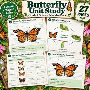 Könnte beinhalten: Ein 27-seitiges Butterfly Unit Study Grade 2 Science Druckpaket mit pädagogischen Arbeitsblättern. Die Seiten enthalten ein Schmetterlingsanatomie-Poster, ein Diagramm zum Lebenszyklus des Monarchfalters, eine Artenbestimmungstabelle und eine Übung.