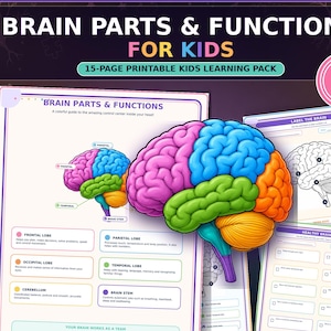 Brain Parts and Functions Worksheets for Kids, Printable Human Brain Anatomy Activity Pack