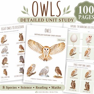 May include: A 100-page detailed unit study on owls featuring educational worksheets. The pages include illustrations of eight owl species, life cycle diagrams of a barn owl, and three-part owl cards with science, reading, and math activities.