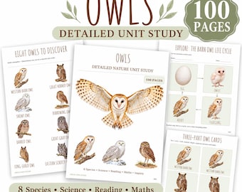 May include: A 100-page detailed unit study on owls featuring educational worksheets. The pages include illustrations of eight owl species, life cycle diagrams of a barn owl, and three-part owl cards with science, reading, and math activities.