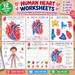 May include: A set of 12 printable human heart worksheets featuring educational diagrams, anatomy labeling, a heart puzzle, circulatory system illustrations, food sorting activities, and blood flow tracing exercises with text in English.
