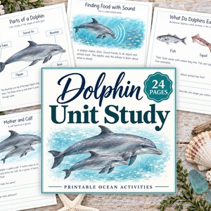 May include: A 24-page Dolphin Unit Study printable ocean activities educational set featuring watercolor illustrations of dolphins, their anatomy, echolocation, diet, and mother-calf relationships with text labels and questions for learning.