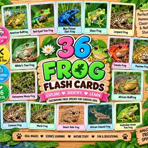 36 flashkort med grodarter, utskrivbara naturstudier, hemundervisning i naturvetenskap (PDF)
