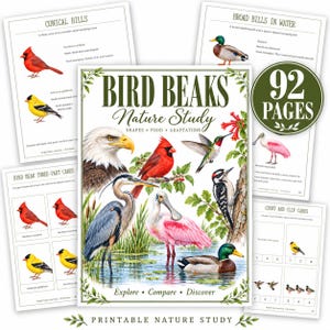 May include: A 92-page nature study printable titled Bird Beaks featuring illustrations of a bald eagle, cardinal, hummingbird, woodpecker, roseate spoonbill, and mallard in a wetland setting, surrounded by educational activity sheets.