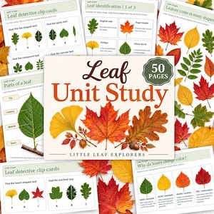 May include: A 50-page educational Leaf Unit Study workbook featuring a cover with a large orange maple leaf, a yellow ginkgo leaf, and an oak leaf with an acorn. The surrounding pages display various leaf identification charts, diagrams of leaf parts, and colorful illustrations of autumn foliage in shades of red, yellow, and green.