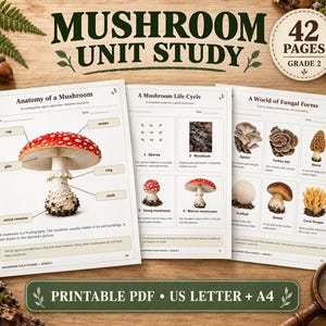 May include: A Mushroom Unit Study educational pack containing 42 pages for grade 2. The printable PDF features worksheets titled Anatomy of a Mushroom, A Mushroom Life Cycle, and A World of Fungal Forms with diagrams, text, and mushroom illustrations.
