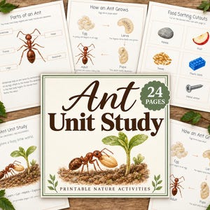 May include: A 24-page Ant Unit Study printable nature activity set featuring educational worksheets with illustrations of ant anatomy, life cycles, and food sorting tasks. The cover displays an ant carrying a seed near a small green plant.
