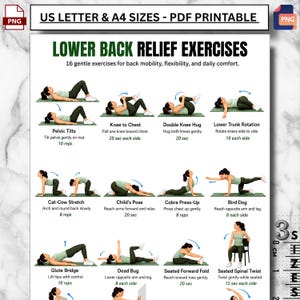 Lower Back Relief Exercises Printable PDF, Back Pain Stretching Routine, Sciatica & Lumbar Mobility Exercises, Home Physical Therapy Chart