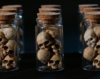 Jar of Miniature Skulls – Hand-Painted Oddity & Dark Fantasy Decor