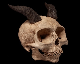 Imp Skull Life-Size – Hand-Painted Skull & Dark Fantasy Decor