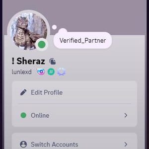 Könnte beinhalten: Benutzeroberfläche eines Benutzerprofils mit einem Drachen-Avatar. Das Profil zeigt den Benutzernamen "! Sheraz", den Status "Online" und Optionen zum Bearbeiten des Profils und zum Wechseln des Kontos. Ein "Verified_Partner"-Abzeichen ist ebenfalls sichtbar.