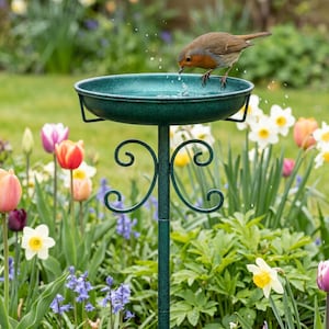 May include: A green metal bird bath with a robin perched on the edge, drinking water. The bird bath has a decorative scrolled base and is surrounded by colorful flowers, including tulips and daffodils.