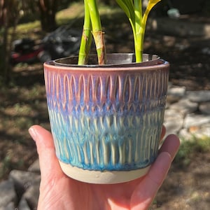 May include: A potted plant with two green stalks and long, pointed leaves. The plant is housed in a cylindrical ceramic pot featuring a textured, vertical ribbed pattern with a gradient glaze transitioning from deep purple at the top to blue.