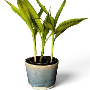 Ceramic handmade plant pot, small