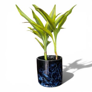 May include: A vibrant green plant with long, pointed leaves growing from a cylindrical ceramic pot. The pot features a glossy, deep navy blue glaze with textured, lighter blue and black marbled patterns across its exterior surface.