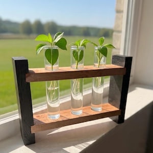May include: A propagation station featuring three clear glass test tubes held within a wooden frame. The frame consists of two horizontal light brown wooden planks supported by two vertical black wooden end pieces. Each tube contains a green plant cutting.