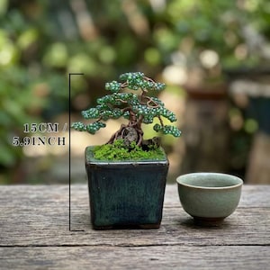 May include: A miniature bonsai tree in a dark green square pot, with a small green ceramic cup beside it. The bonsai is 5.9 inches tall, with green foliage and exposed roots. The pot is filled with moss.