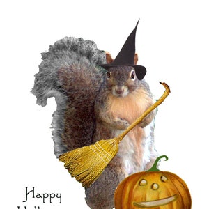 Halloween Witch Squirrel Greeting CardSquirrel Fantasy CardSquirrels dressing up for HalloweenLittle Squirrel Witch Card image 1