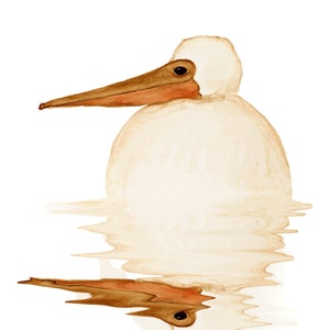 Pelican Watercolor Cards, Pelican Chick Peace on Earth, Baby Pelican Holiday, Shorebird, Migratory birds need our support