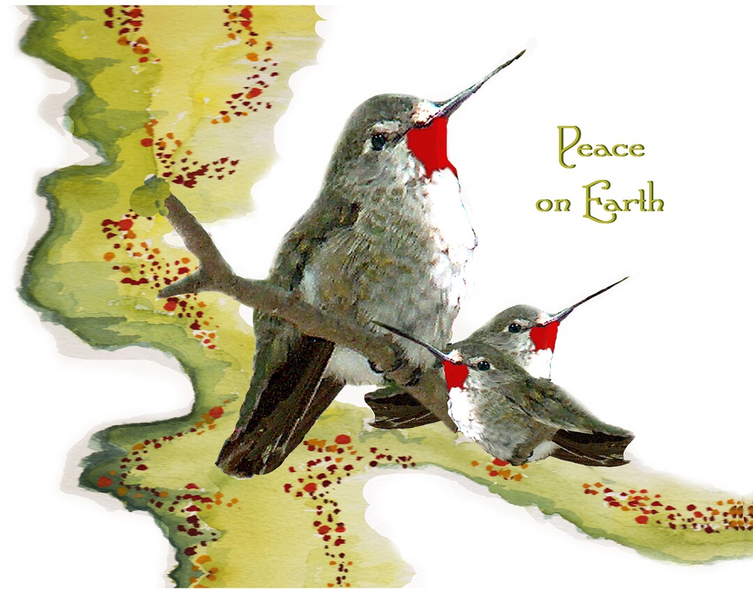 10 Hummingbird Christmas Cards Custom~hummer Babies Holiday Cards ...