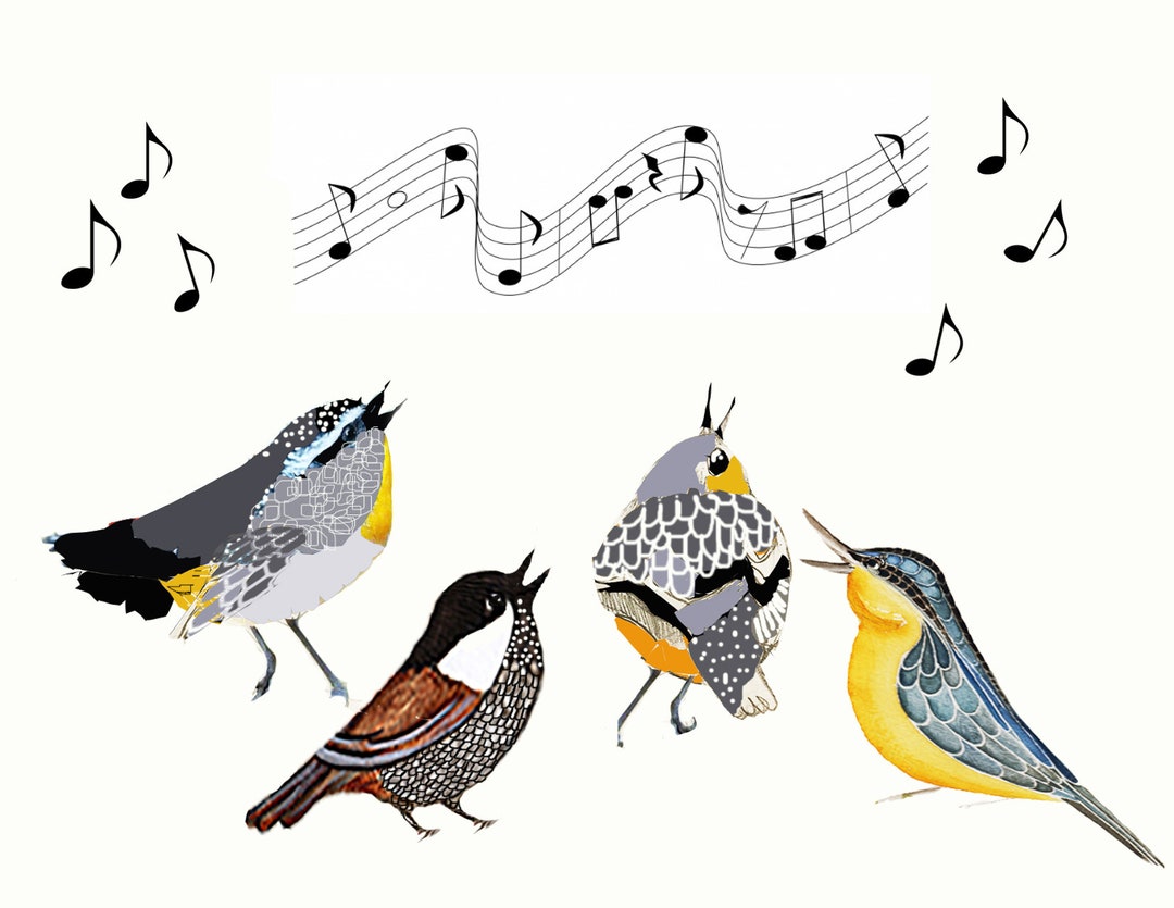 Singing Birds Greeting Card Set: Handmade Watercolor Notecards - Etsy, image size:1080x835