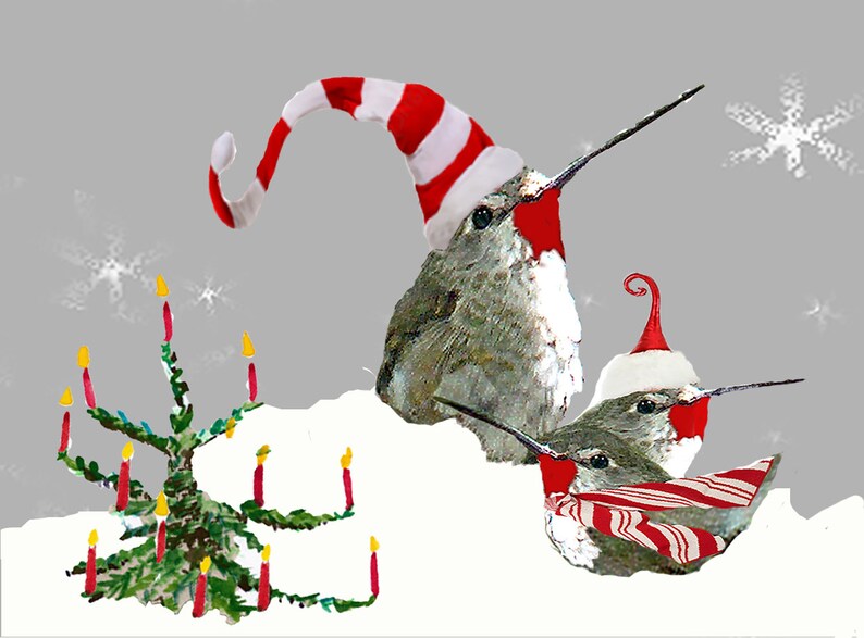 Hummingbird Christmas Cardschristmas Cards Ruby Red Throat | Etsy
