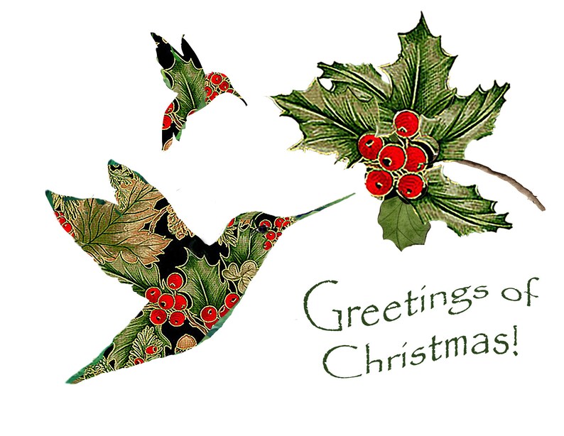 Christmas Hummingbird CardLadyWhoLovesBirds ChristmasHoliday | Etsy