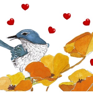 Tarjetas de San Valentín de AVES, San Valentín de Scrub Jay y Amapolas, Pájaros azules con corazones