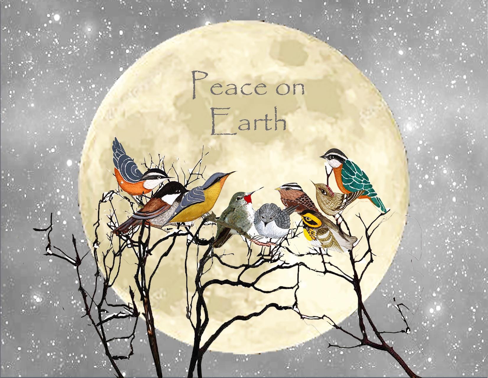 Handcrafted Winter Birds Holiday Cards - Silver Glitter, Box of 10