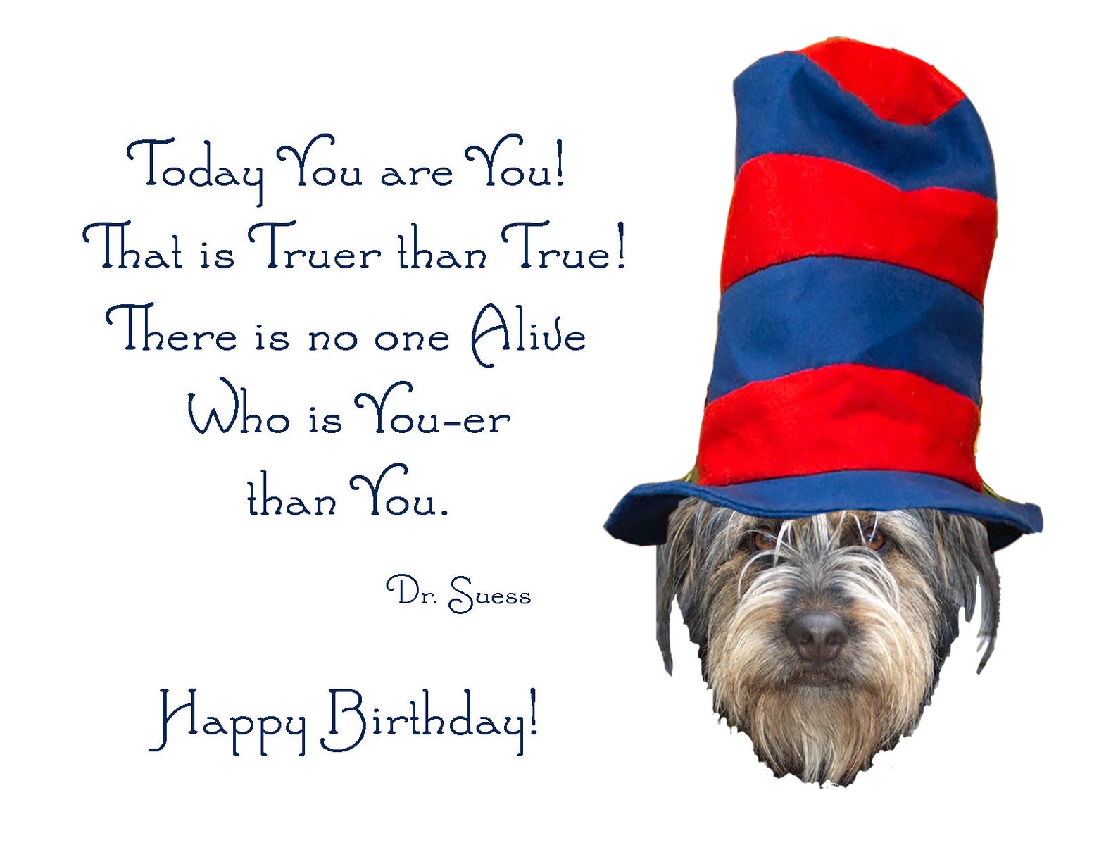 The Dog In The Hatfunny Birthday Carddog Birthday Card For Etsy