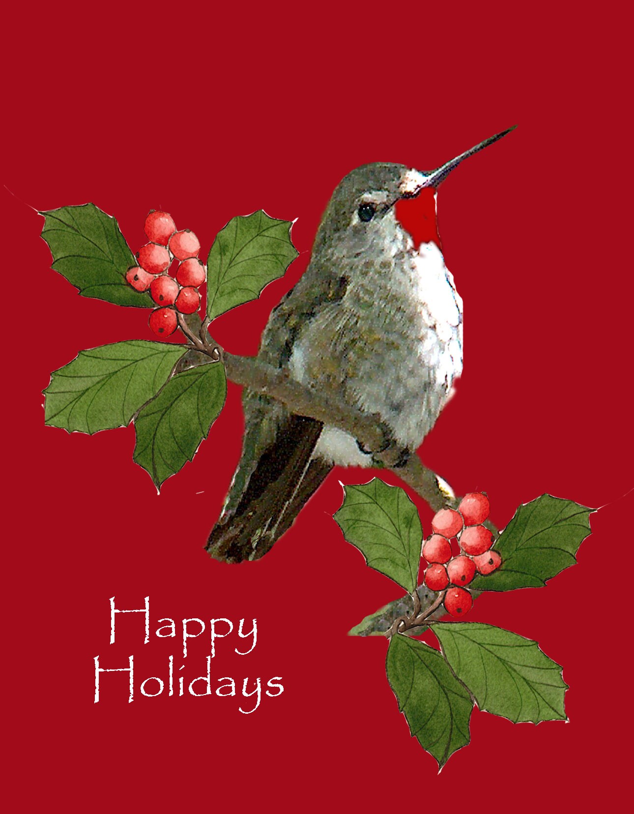 10 CUSTOM Hummingbird Christmas CardsHandmade Hummingbird | Etsy