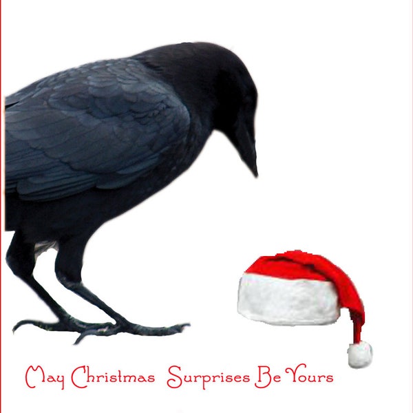 Christmas Crow Card~Handmade Christmas Raven~Black Bird Santa Christmas Card~Raven Christmas Card~Santa Crow Christmas