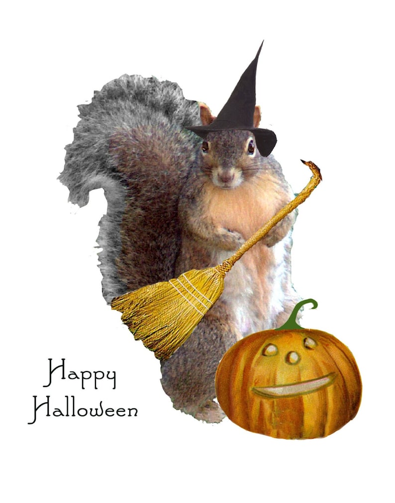 Halloween Witch Squirrel Greeting CardSquirrel Fantasy CardSquirrels dressing up for HalloweenLittle Squirrel Witch Card image 1