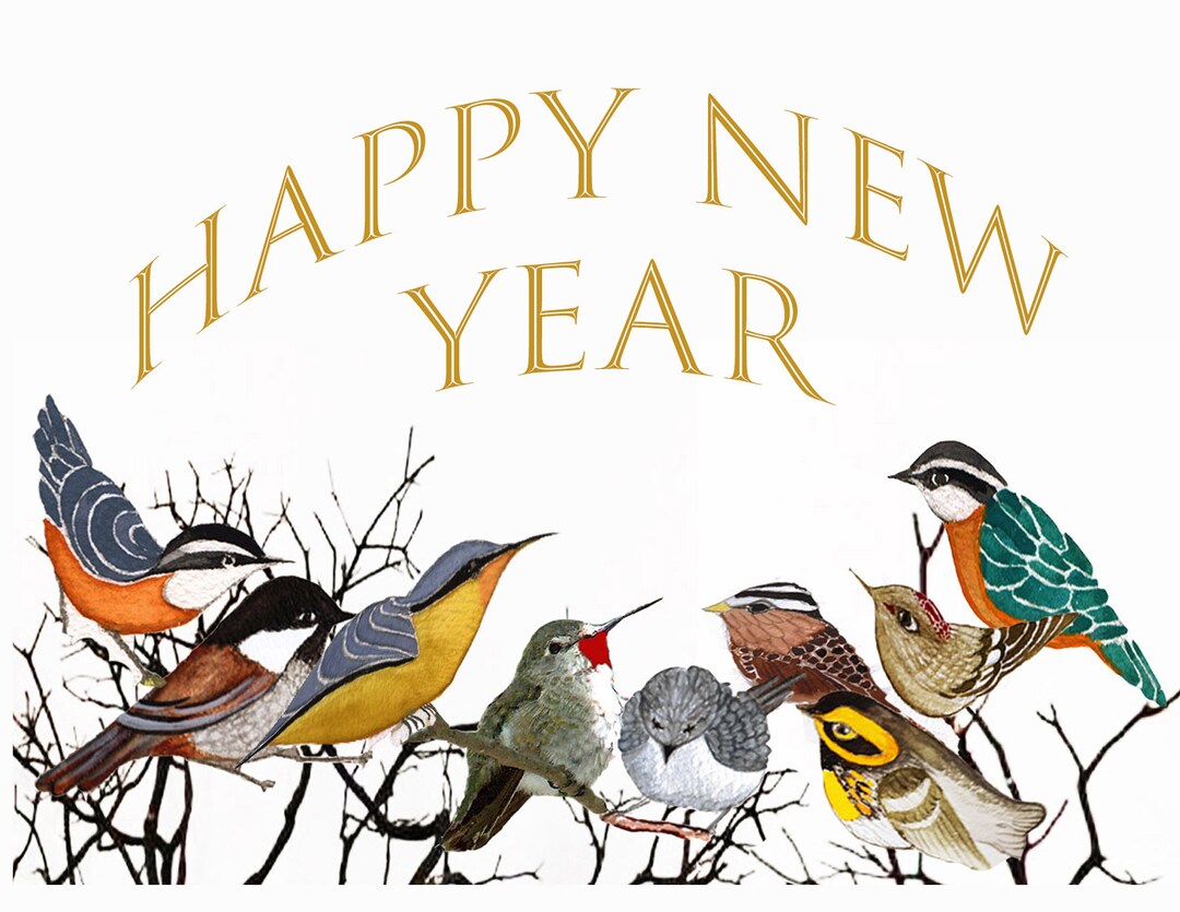 Re December 2024 Bird