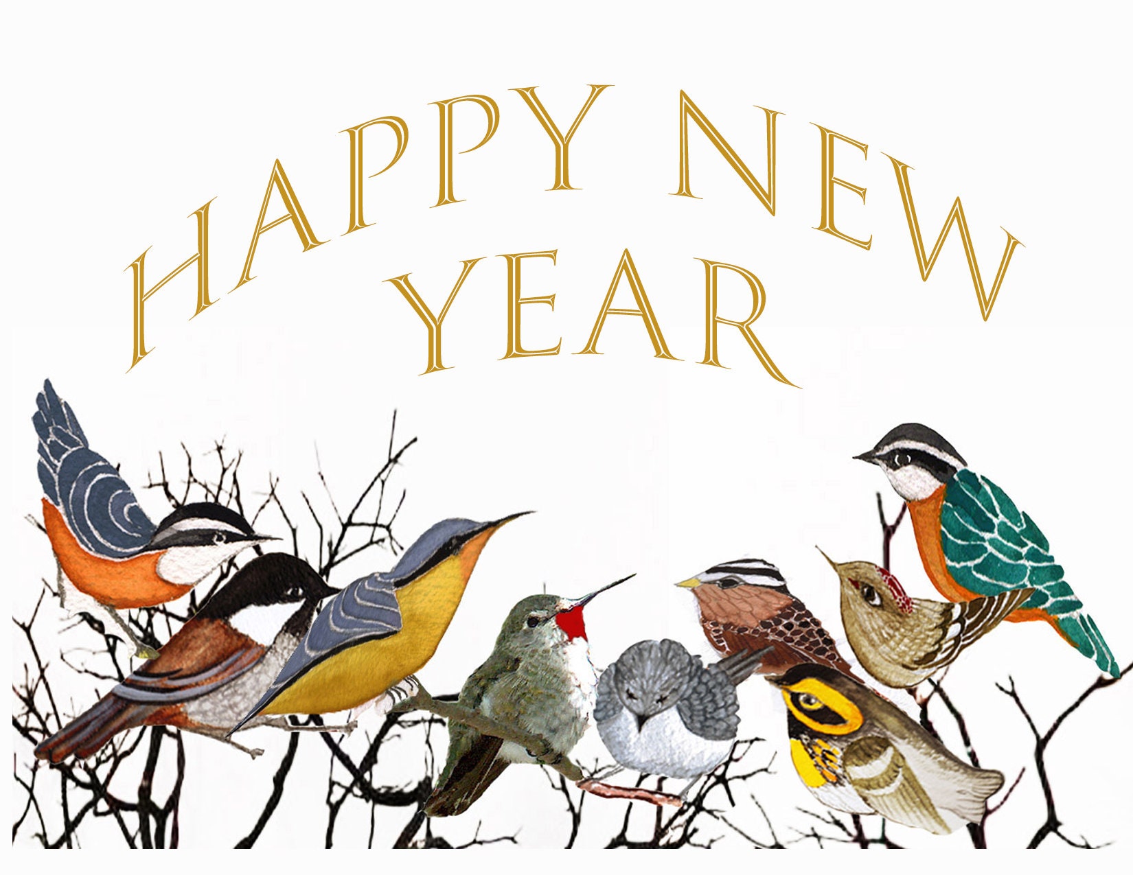 Box Of Ten 2022 Happy New Year Cardsgarden Birds Celebrate Etsy