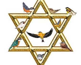 Chanukah Greeting Card~LadyWhoLovesBirds~Star of David Bar Bat Mitzvah Card~Hanukkah Jewish Holiday Card~Peace Birds Card~Mozel Tov