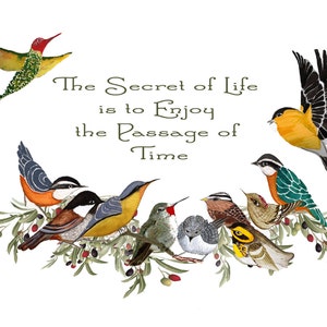 CUSTOM Hand made Quotation Card for Graduate, The SECRET of LIFE, Unique Watercolor Bird Card, Inspirational Card, Words of Wisdom