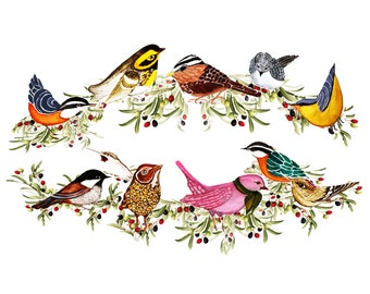Set de tarjetas de aves en acuarela: tarjetas de aniversario hechas a mano, envoltorio de regalo incluido
